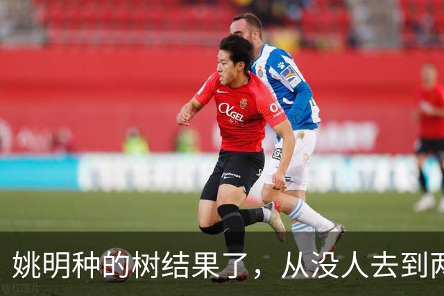 姚明种的树结果了，从没人去到两位数留洋，年轻人治好男篮老毛病